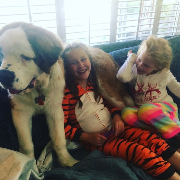 Meet your Posher, Lannie - Picture 1 of 7